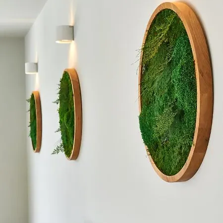 Forest With Wellness And Heated Salty Pool *